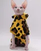 Vêtements de chat sans poils automne et hiver coton mode chat vêtements pour chats Sphynx Devon Rex CatsCornish 240304