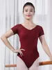 Stage Wear Mesh Patchwork Ballet Leotard Classic Rompers Dance Costume Women Halloween Jazz Short Sleeves Woman Tights Line Latin Playsuits