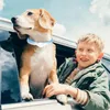 Köpek yakaları Pet Soğutma Yakası Ayarlanabilir Boyun Soğutucu Yumuşak Isı Önleme Eşarp Yaz Serin Rahat Kumaş Tüm cins için