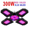 성장 Phyto Lamp Led Plant Seeds 220V Light E27 전체 스펙트럼 수경법 Lampara 패널 Bombilla 110V 텐트 전구