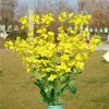 Falso Brassica Napus (3 hastes/peça) Simulação Cor Amarela Flor de Estupro para Casa de Casamento Flores Artificiais Decorativas 2024305