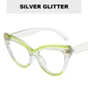 Sunglasses Irregular Anti-blue Light Flat Glasses TR90 Eyeglasses Frame Color Blocking Female