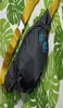 Heren ontwerper geelzwart canvas riem hoge schoudertas borsttassen multifunctionele satchel schoudertas Messenger2825262