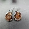 Boucles d'oreilles pendantes 5 paires, ammonite naturelle, coquille d'escargot, pierre de guérison, crochet à la mode, bijoux pour femmes