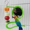 Autres fournitures d'oiseaux Support de miroir Jouet Perroquet Mangeoire Porte-fruits pour accessoires de cage de calopsittes