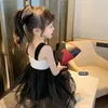 ガールドレス1-6Y 2024夏の女の子コットンドレスレースふわふわチュチュプリンセスキッズセブレスの子供服