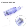 Cartucce Microneedle per Mini Hydra Gun Mesoterapia Iniettore Auto Derma Stamp Pen Ago con tubo per siringa 11 LL