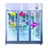 Raffreddatore frigorifero per fiori alla moda per frigoriferi per vetrine per fiori