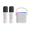 Taşınabilir Karaoke Makinesi KTV Mavi Tezlesi Sistemi Kablosuz Çift Mikrofonlar HiFi Stereo Ses RGB LED Işıkları Parti İçin Evde Ev