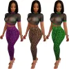 Suits See through Sexy Two Piece Set Women Transparent Mesh Crop Top and Pencil Pants Suit Party Club Wear 2 Piece Outfits