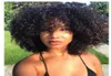 Brasilianisches Haar Bob Afro Kinky Curly Perücken Simulation menschliches Haar lockiges Vollperücke mit Knall für Frauen56346396254370