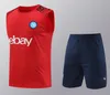 24 25 Dorosły z krótkim rękawem Napoli dressit Soccer Jersey 2024 2025 TrackSitus Zestaw SSC Neapol Sleeveless kamizelka treningowa Train Chandal Jogging Set