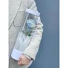 Blomma inpackning presentförpackning PVC Transparent Cylinder Single Rose Bouquet Case For Valentines Day Birthday Floral Packaging Supply 240223