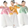 Stage Wear Chinese Style Suit Tops And Pants Children Dance Costumes Girls Classical Qipao Cheongsam Performance