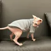 Varm fleece grå tröja för Sphynx Cat Clothing Winter Soft Coat för kattungar Tjock Beige Sweatshirt för Devon Rex Famale Cats 240304