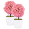 Decoratieve bloemen 2 stuks gesimuleerde potplanten nepplanten met kunstdecor bureau bonsai mini