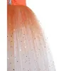 Stage Wear 2024 Long Romantic Ballet Tutu Girl Women Costume Performance Dance Dress Girls Skirts Tulle