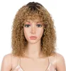 Styleicon bouclés perruques de cheveux humains pour les femmes court Afro crépus bouclés coupe de lutin perruque Remy Ombre Blonde perruques avec Bangs6715846