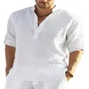 Haute qualité hommes printemps/été à manches longues coton lin chemise affaires décontracté ample T-shirt petit haut S-5XL 240305