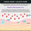 Appareil magnétique sain à lumière cellulaire à ondes Terahertz, soins du corps, soulagement de la douleur, thérapie magnétique saine par chauffage électrique, physiothérapie