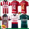 Maglie da calcio vas de Guadalajara 2023 2024 3rd C. COWELL J.MACIAS CHARITO Alvarado Maglia da calcio uomo donna / bambino H2435