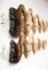 T4613 LOOP MICRO RING MACHENT MACHTER REMY Extension 100 Human Hair Body Wave Ombre Piano Color Micro Links 10Quot2Quot 7645004