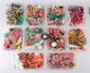 1 Box Real Dried Flower Dry Pnts för aromaterapi Candle Epoxy Harts Pendant Neckce Jewelry Making Craft Diy Accessories26627759842