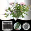 Vasen Spirale Ikebana Stielhalter Klarer Blumenständer DIY Blumenkunst Zubehör Vase Ring für Party Hochzeit