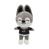 Skzoo 20 cm 8 unidsset juguete de peluche Kawaii Stray Kid lindo dibujos animados relleno animal muñeca compañero para niños adultos fanáticos 240223