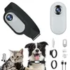 Pet Collar Camera HD 1080p Mini Sports With Screen Video Recording Outdoor Wireless Cat Safety Supplies 240226