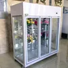 Mode bloem koelkast koeler voor bloemen Vitrinekast koelkasten voor bloemen