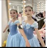 Bühnenkleidung Kinder Professionelles Ballett Tutu Mädchen Kleid Performance Kleidung Frauen Röcke Ballerina Schwanensee Tanz