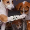 Abbigliamento per cani 4 pezzi Calzini per animali domestici Maniche scaldamuscoli lavorate a maglia per ginocchiere antiscivolo per cuccioli Protezione articolare Coperture per garretti