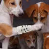 犬アパレル4 PCSペットソックスニット編み脚の暖かい袖のための非スリップ子犬膝パッドジョイントプロテクターホックカバー用品