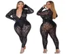 L4XL Plus Size Tweedelige Set Dames Sexy Club Mesh Uitgesneden Gestreepte Top En Broek Outfits Voor Zwart 2 Sets H215 Women039s7837995