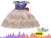 Flower Embroidered Girls Princess Kids Dresses for Girls Lace Tutu Ball Gown Baby Girls Clothes Children Wedding Party Dress6288456