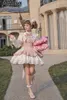 Casual Kleider Frauen Prinzessin Kleid Täglich Op Nette Kawaii Süße Rosa Lolita Herbst Winter Weiche Mädchen Bankett Party Geburtstag