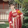 Antica tradizione cinese da donna elegante abito Hanfu fata ricamo palcoscenico costume da danza popolare retrò dinastia musicale set 240220