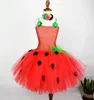 Girl039s Jurken Meisjes Aardbei Tutu Jurk Baby Meisje Eerste Verjaardagsfeestje Friut Outfit Kinderen Halloween Kostuum 012Y4112210