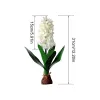 Decorative Flowers Lifelike Silk Flower Hyacinth Artificial Plants With Bulb Simulation Leaf Simulated 2024305