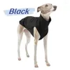 Vestuário para cães Pet Elastic Tank Top Pequeno Doberman Gola Alta Bottom Outono e Inverno Casaco Quente