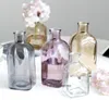 Vaso de vidro colorido transparente simples garrafa de vidro mesa artesanato ornamentos acessórios de decoração para casa vasos de flores para casas c0129248127