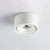 Ceiling Lights Anti-glare Surface Mounted LED Downlight Dimmable Spotlight COB Spot 10W 12W 15W 110V 220V Room Decor Round Lamp