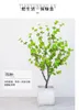 Decorative Flowers Large Simulation Plant Bell Horse Drunk Wood Green Indoor Living Room Decoration Landscape Tree Floor Bonsai