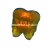 Opalite Diente Modelo Estatuilla Arte Escultura Escritorio Decoración Natural Blanco Jade Cuarzo Cristal Dientes Estatua Mineral Espécimen Tallado Personalizado Niñas Niños Amigo Regalo