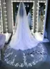 2020 New White Cathedral Train Cheap Wedding Veil Fashion 3M One Layer Vintage Lace Appliques Country Beach Simple Bridal Veils3532930003