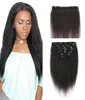 人間の髪の伸びの粗いヤキクリップ7pcs黒人女性FDSHINE4332201のためのブラジルのバージンヘアキンキーストレートクリップイン