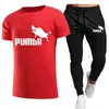 Survêtements pour hommes PUMBA T-shirt imprimé Set avec Summer Hip-Hop Sports Bas à manches courtes Flying Boar Wild Parody Creative surdimensionné One-Fi