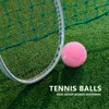 6st Pack Pink Tennis Balls Wear-Resistenta Elastic Training Balls 66mm Ladies Nybörjare Practice Tennis Ball för Club 240325