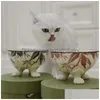 Designer Cat Bowls Raised Dog Food And Water Bowl Set Porcelain Pet Dish With Stand Backflow Prevention Dishwasher Microwave Safe Her Dh4Ov